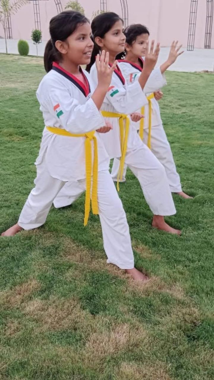 Taekwondo Class